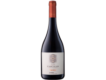 Vina Chocalan Origen Gran Reserva Syrah 75cl Bottle  