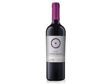 Vina Chocalan Reserva Syrah 75cl Bottle 