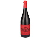 Saladini Pilastri Rosso Piceno 75cl