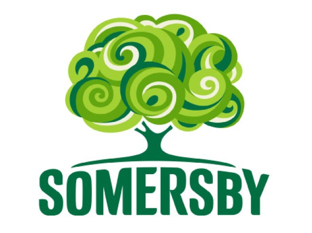 Somersby Apple Cider 4.5% 25L Keg