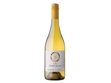 Vina Chocalan Reserva Chardonnay 75cl Bottle