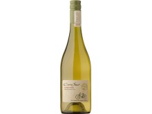 Cono Sur Organic Sauvignon Blanc 75cl Bottle