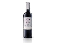 Vina Chocalan Reserva Carmenere 75cl Bottle